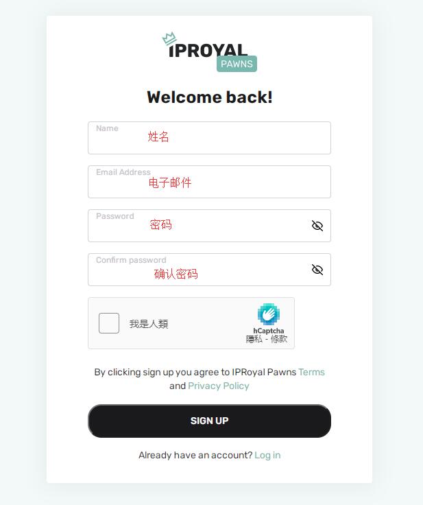 [IPRoyal]利用闲置带宽挂机被动赚钱（附详情教学指南）