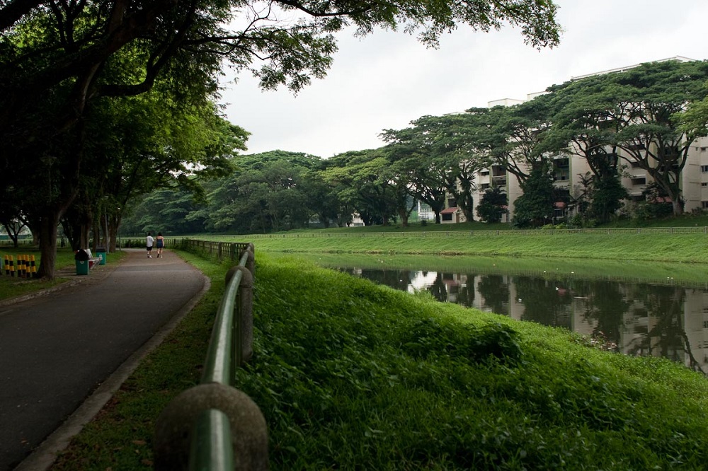 新加坡适合徒步的地方盘点，4条徒步路线，选一条出发吧!