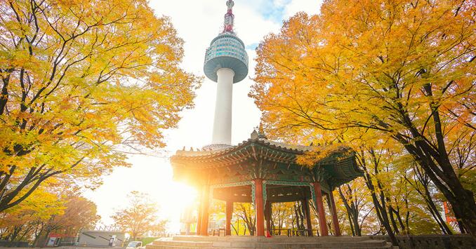 马来西亚到韩国留学费用和奖学金详解